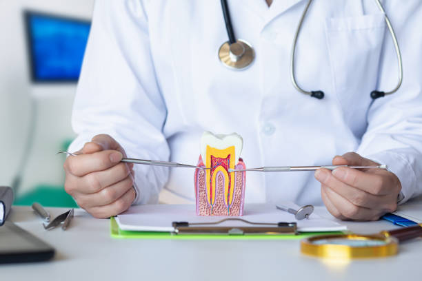 Best Emergency Treatment for Jaw Pain or Injury in Aberdeen, WA